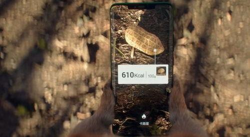 国产恐怖沙雕广告大全视频